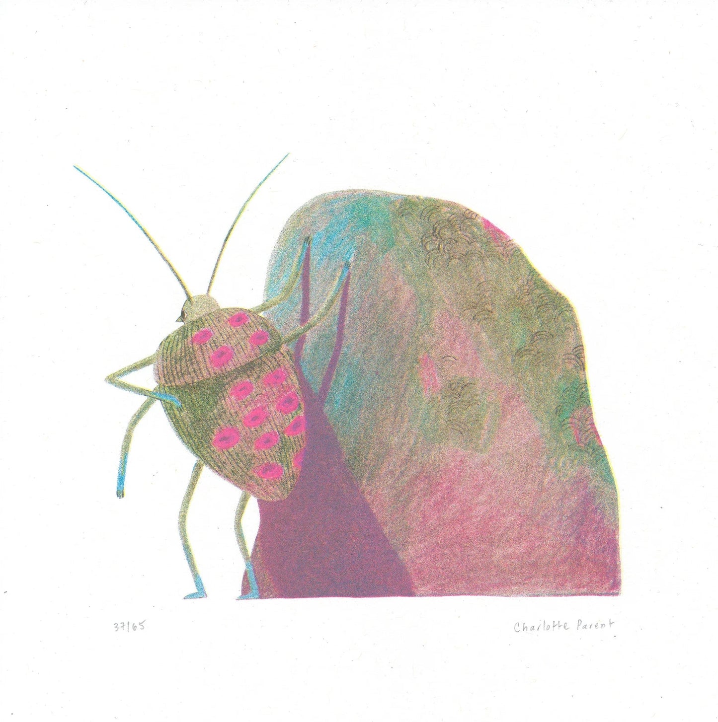 Affiche Charlotte Parent Insecte