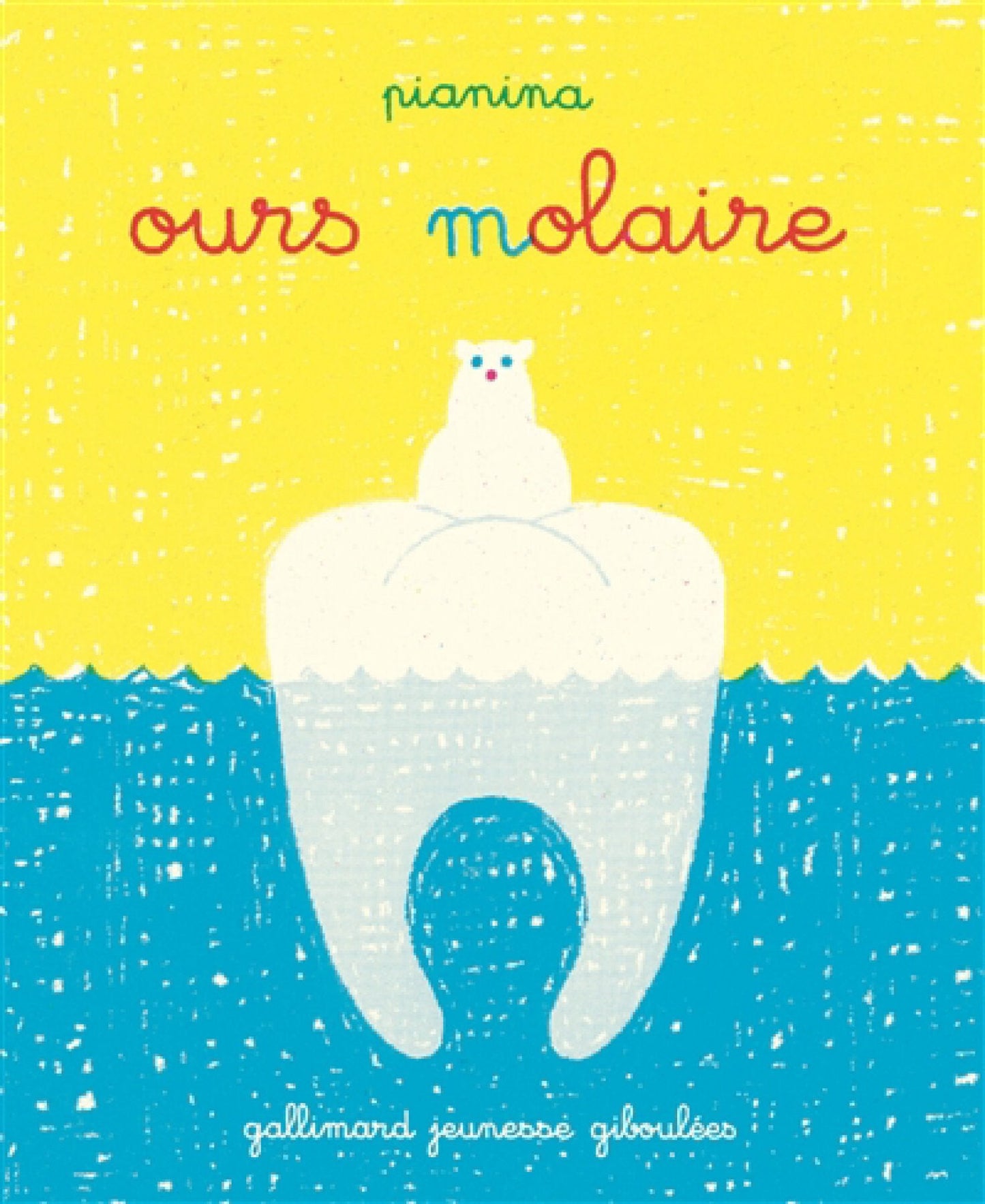 Ours-molaire