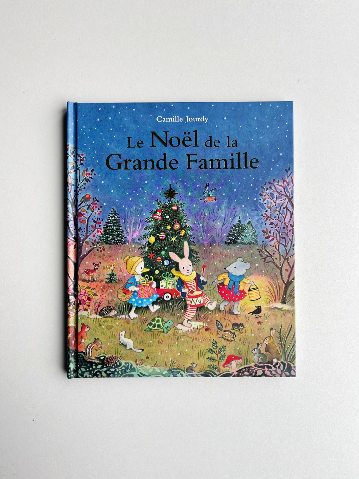 Le Noël de la Grande famille