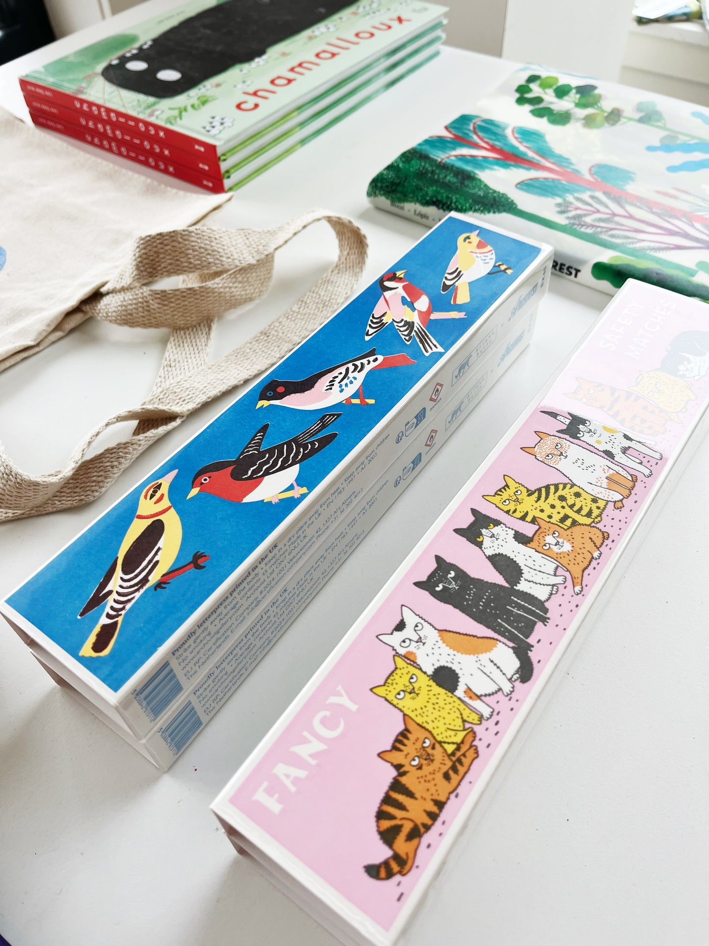 ALLUMETTES LONGUES OISEAUX