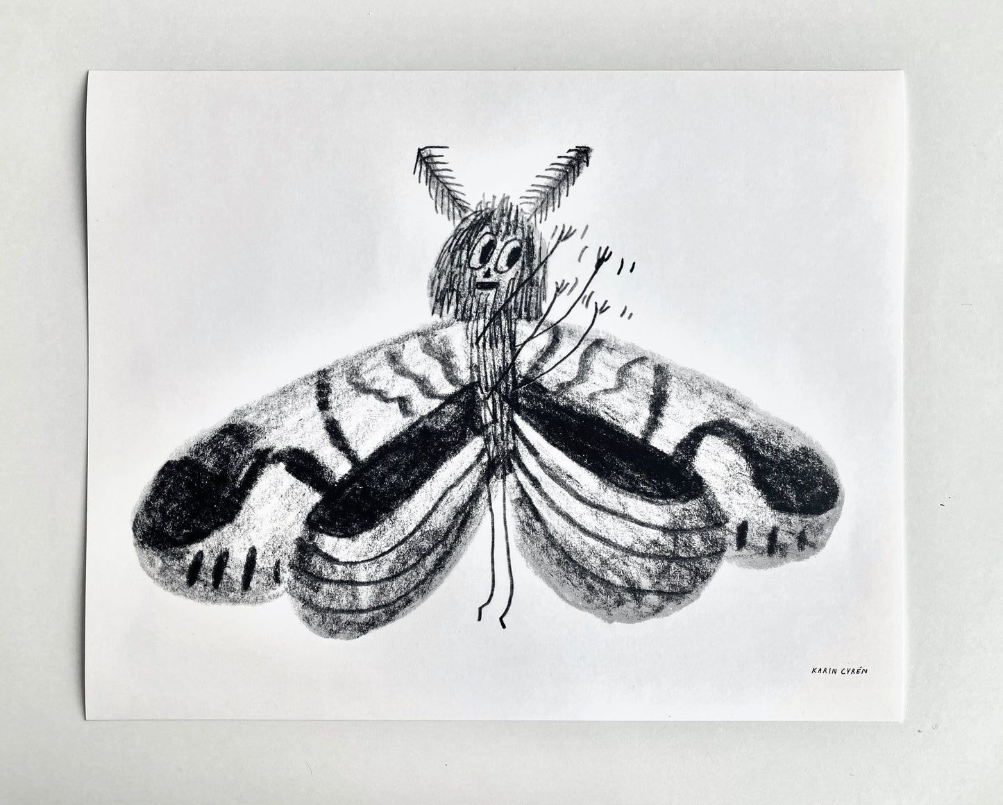 BUTTERFLY POSTER