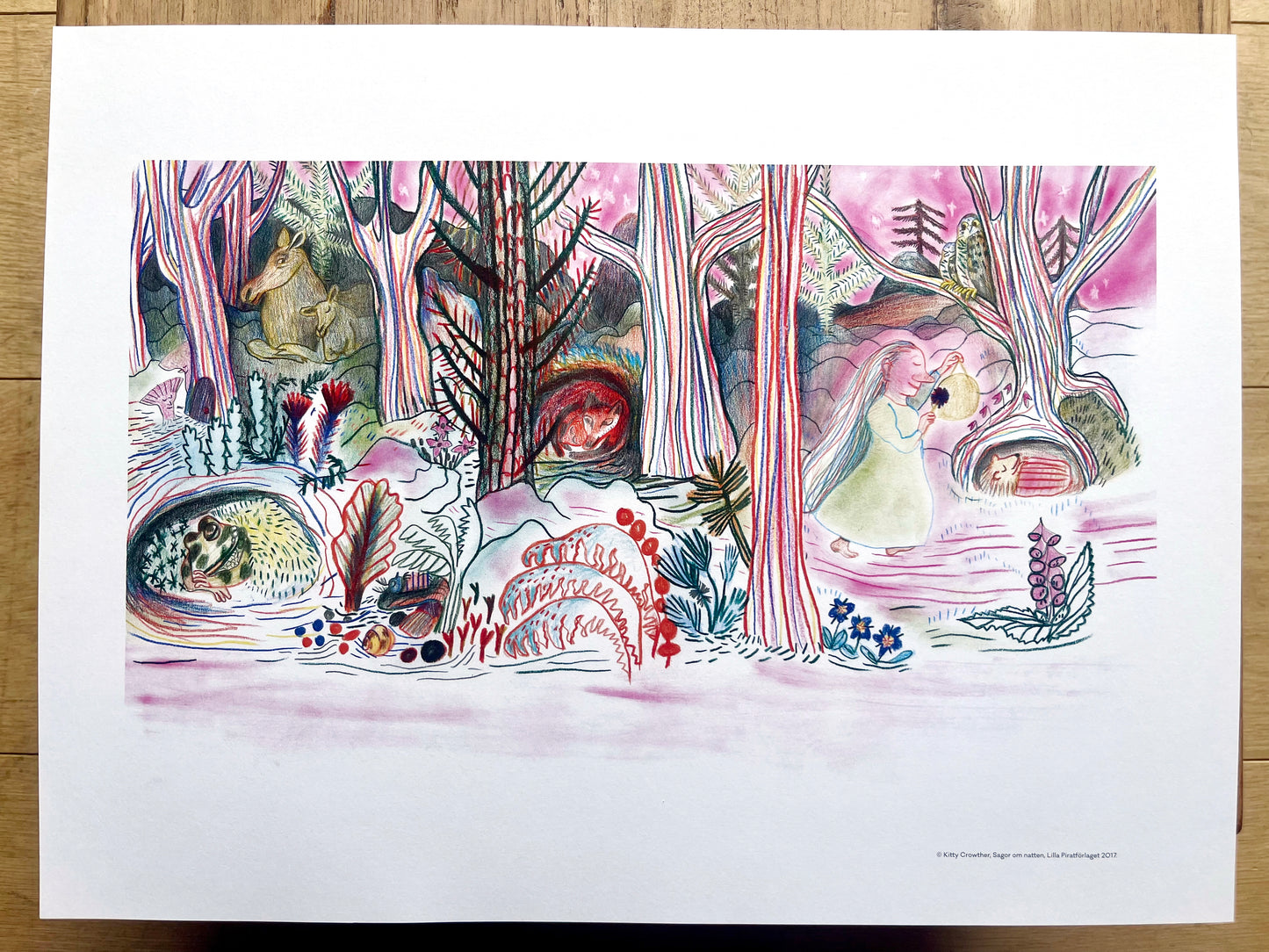 LOT 36 — Sagor om natten, par Kitty Crowther