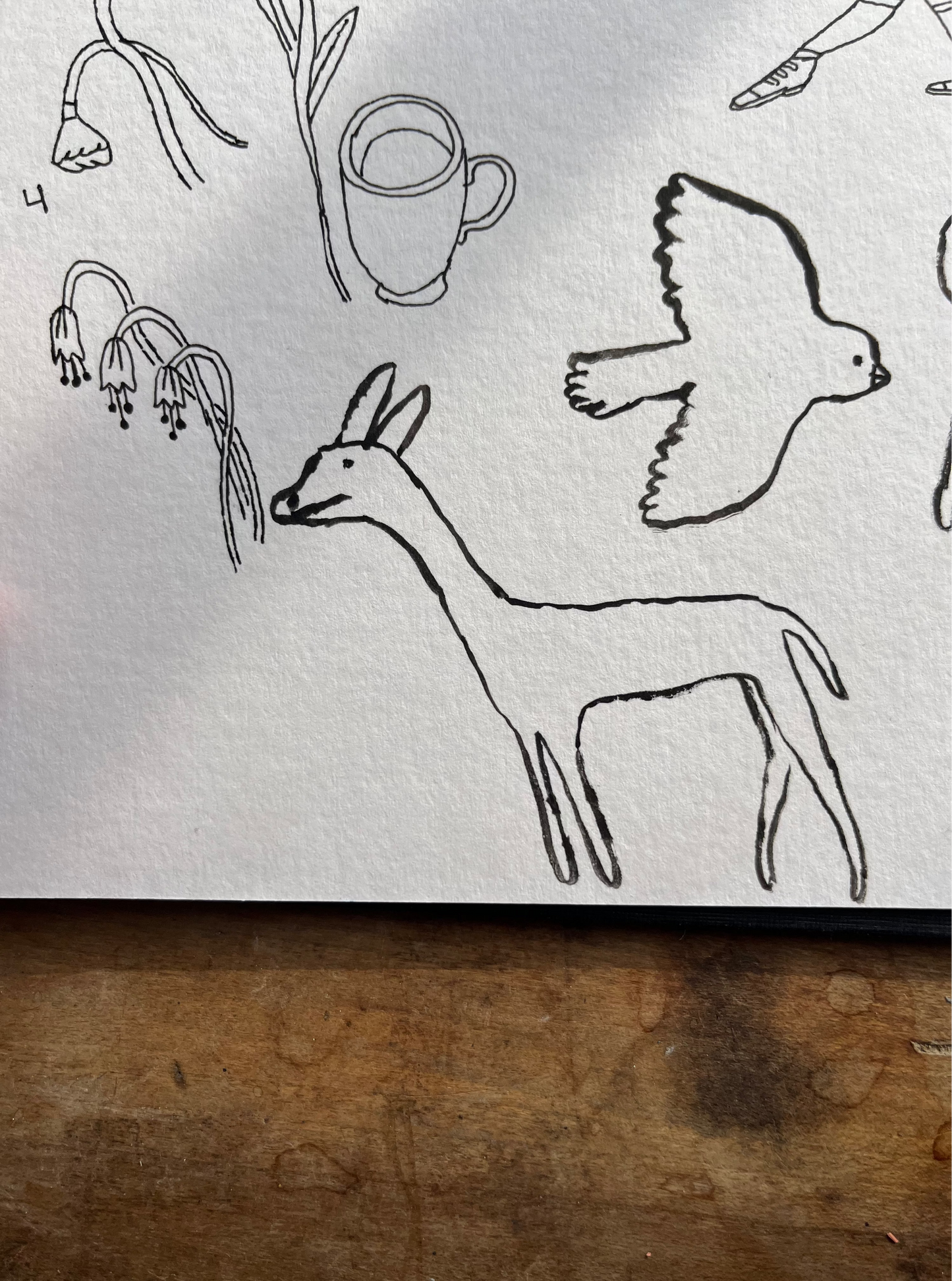 Free drawing — February 1rst