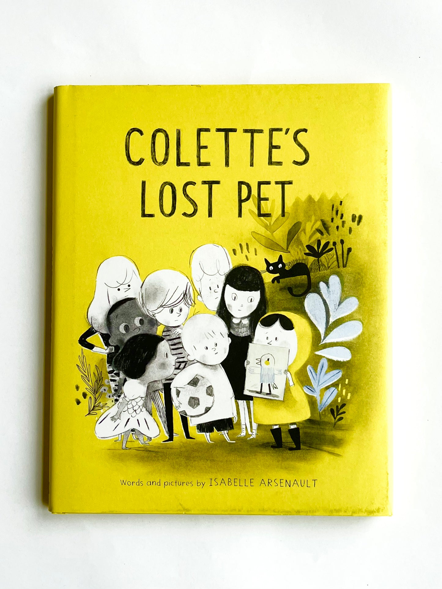 COLETTE’S LOST PET