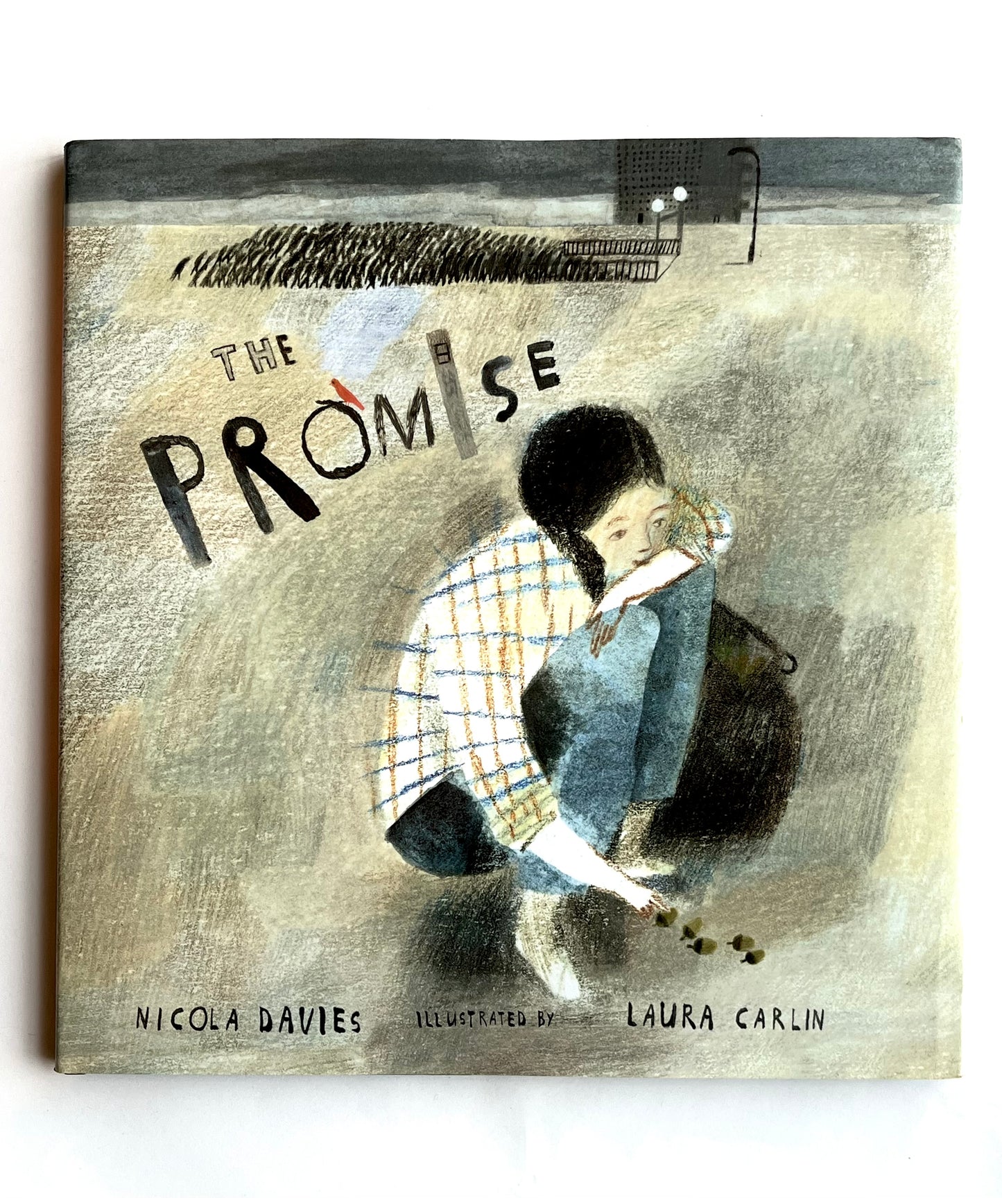 THE PROMISE
