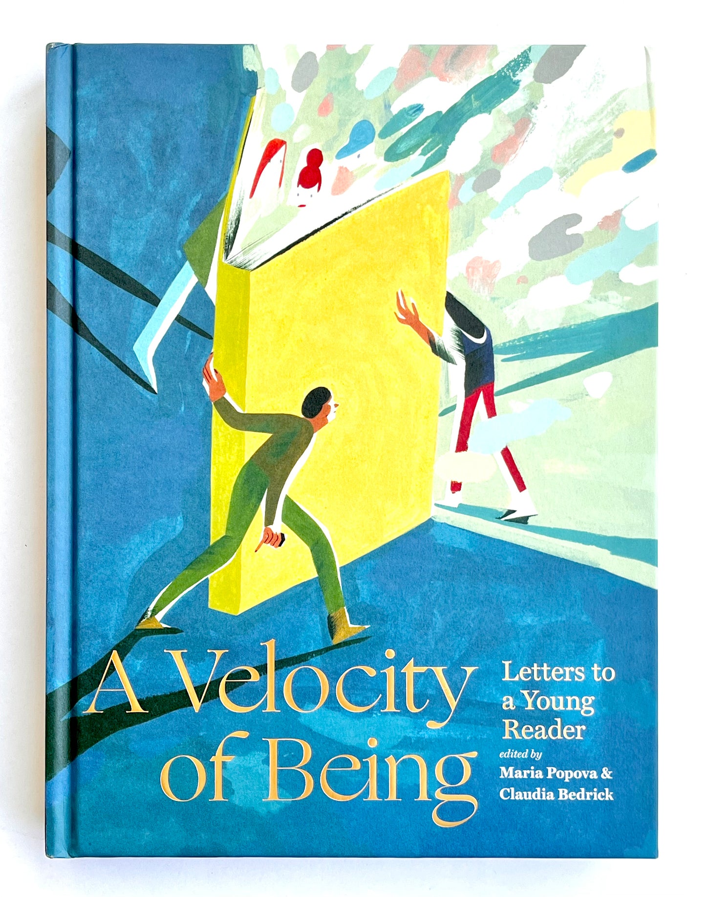 A VELOCITY OF BEING : LETTERS TO A YOUNG READER