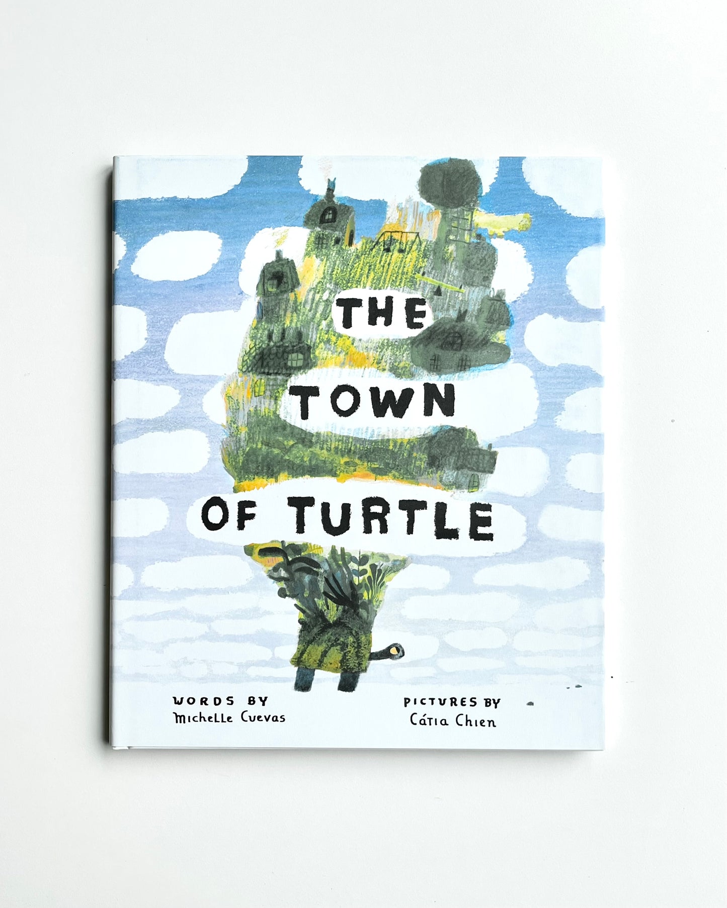 THE TOWN OF TURTLE