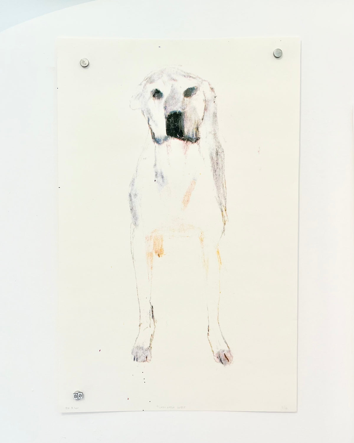 AFFICHE PN RIOU - CHIEN