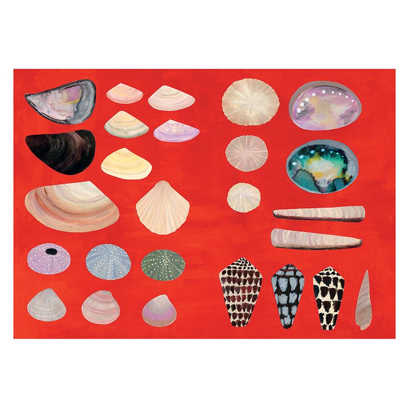 Artazar - Fanny Dreyer - coquillages