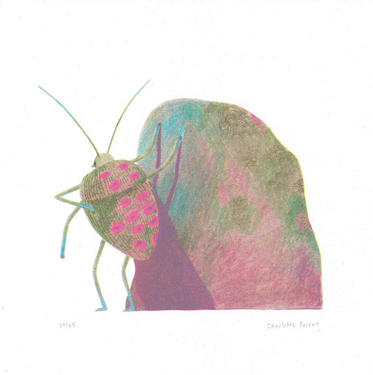 Affiche Charlotte Parent Insecte