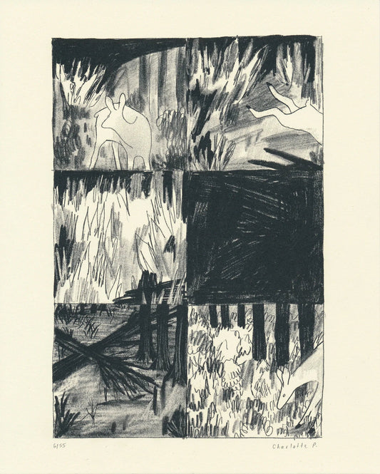 Affiche Charlotte Parent Feu de forêt