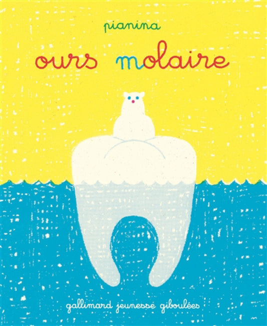 Ours-molaire