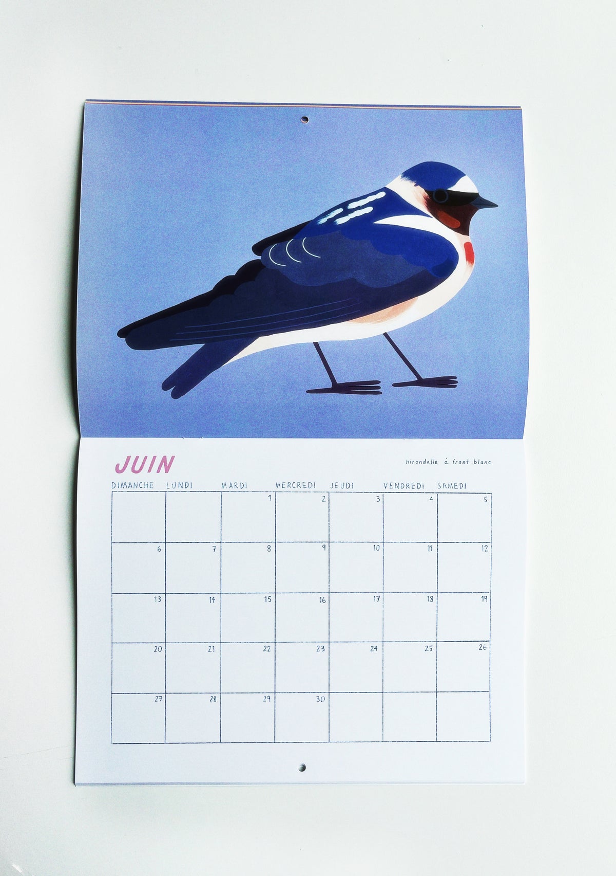 CALENDRIER 2027 OISEAUX DU QUÉBEC