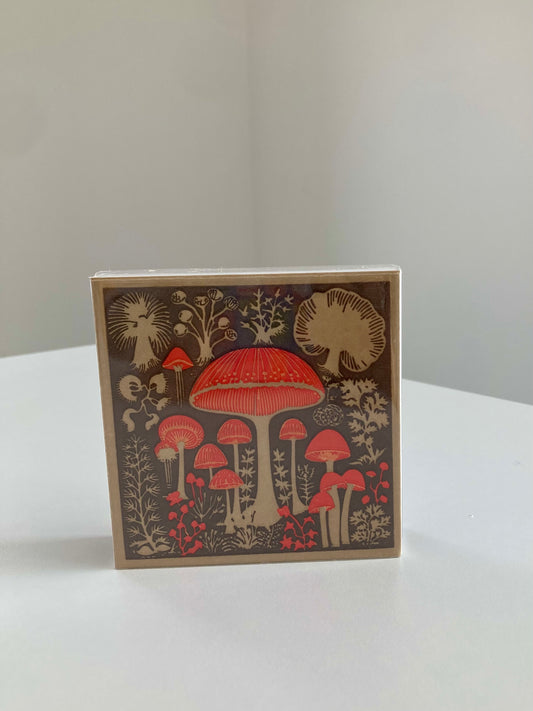MUSHROOM MATCHES
