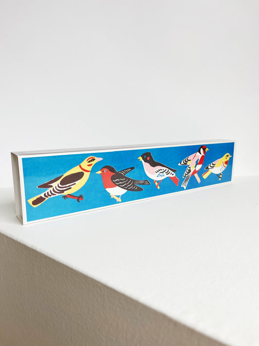 ALLUMETTES LONGUES OISEAUX
