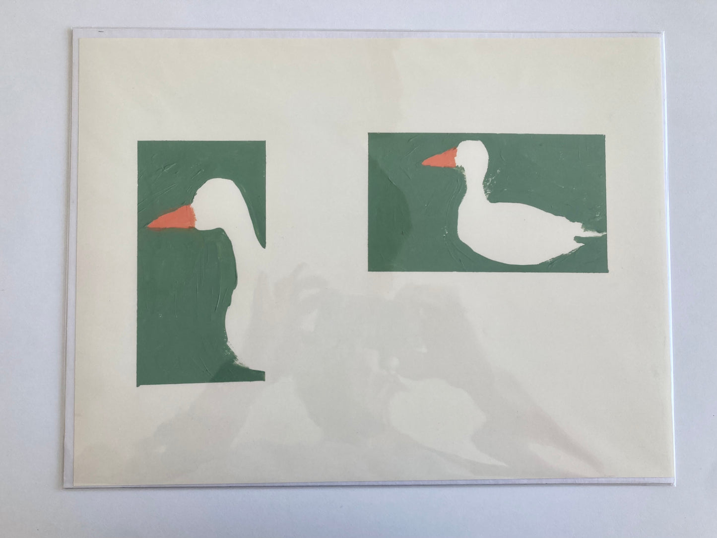 AFFICHE DEUX CANARDS