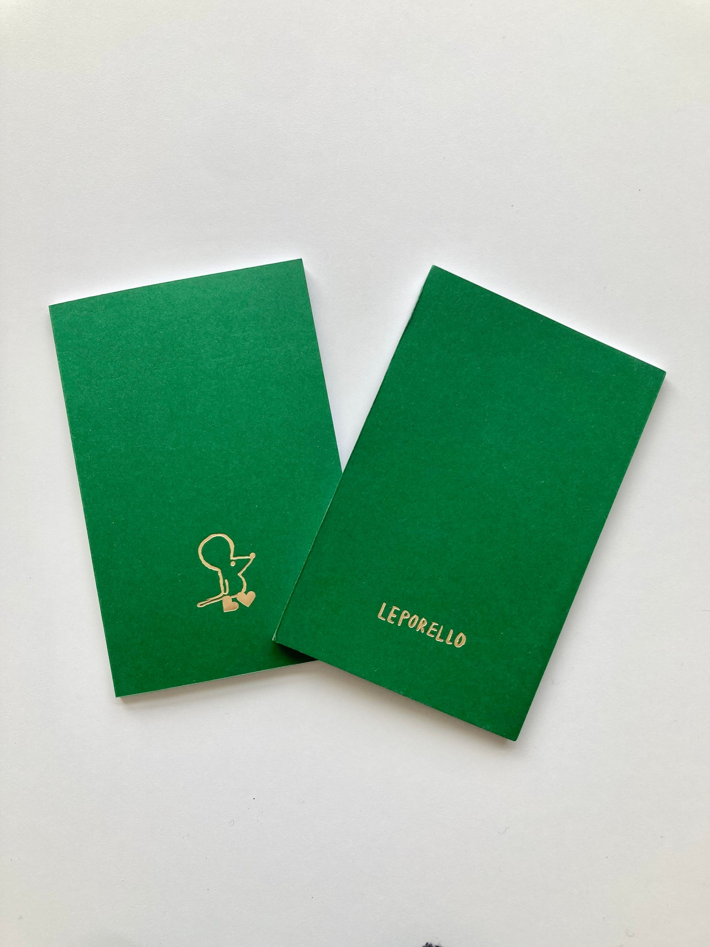 ACCORDION BOOK