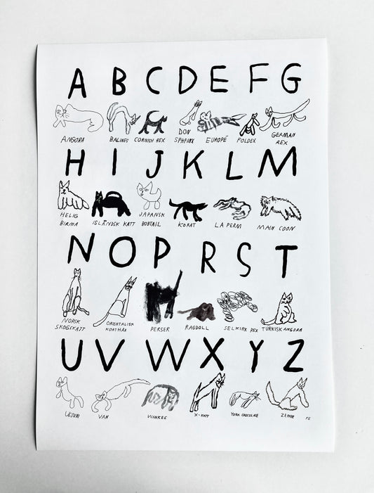 AFFICHE ABC CHAT