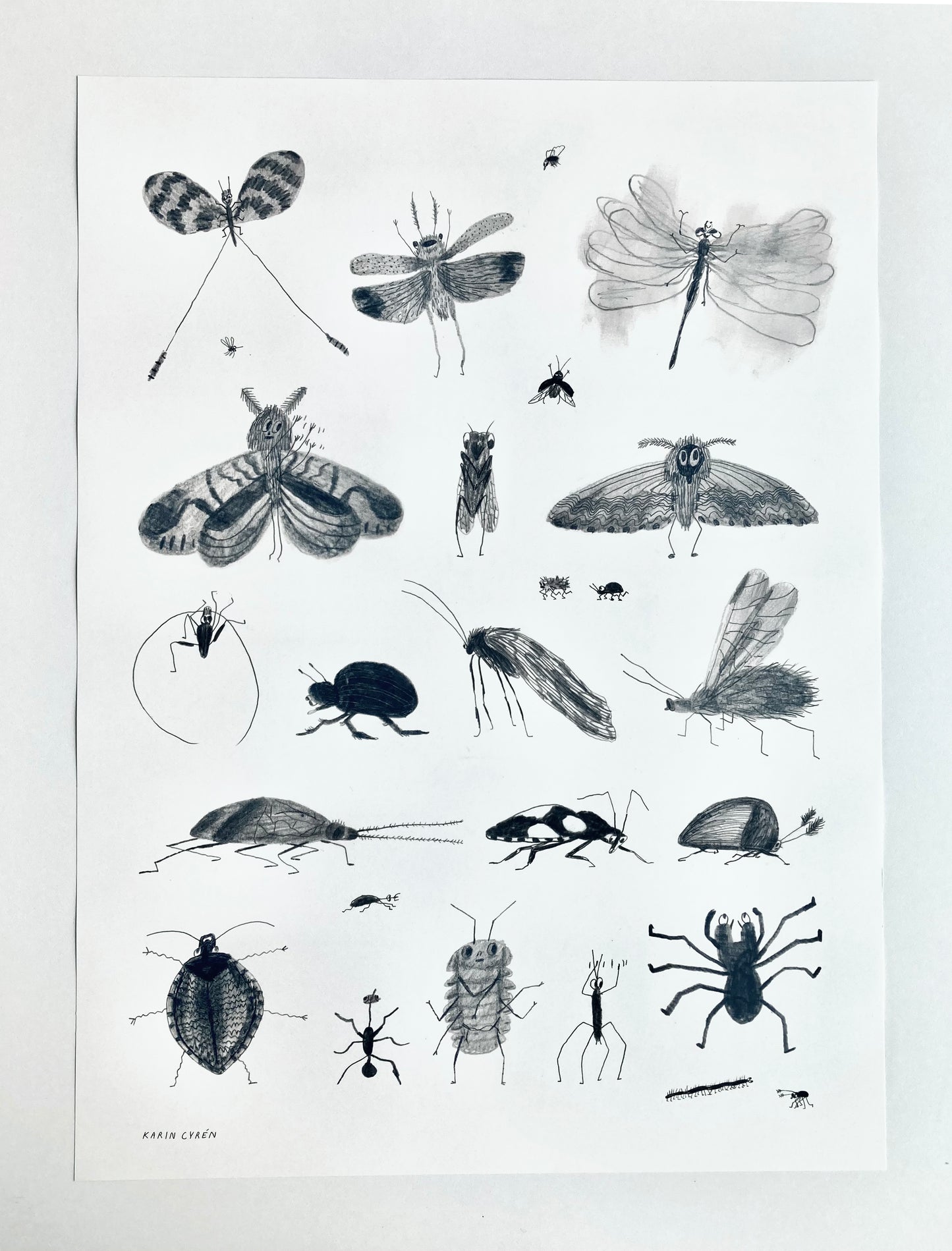 Critter Poster