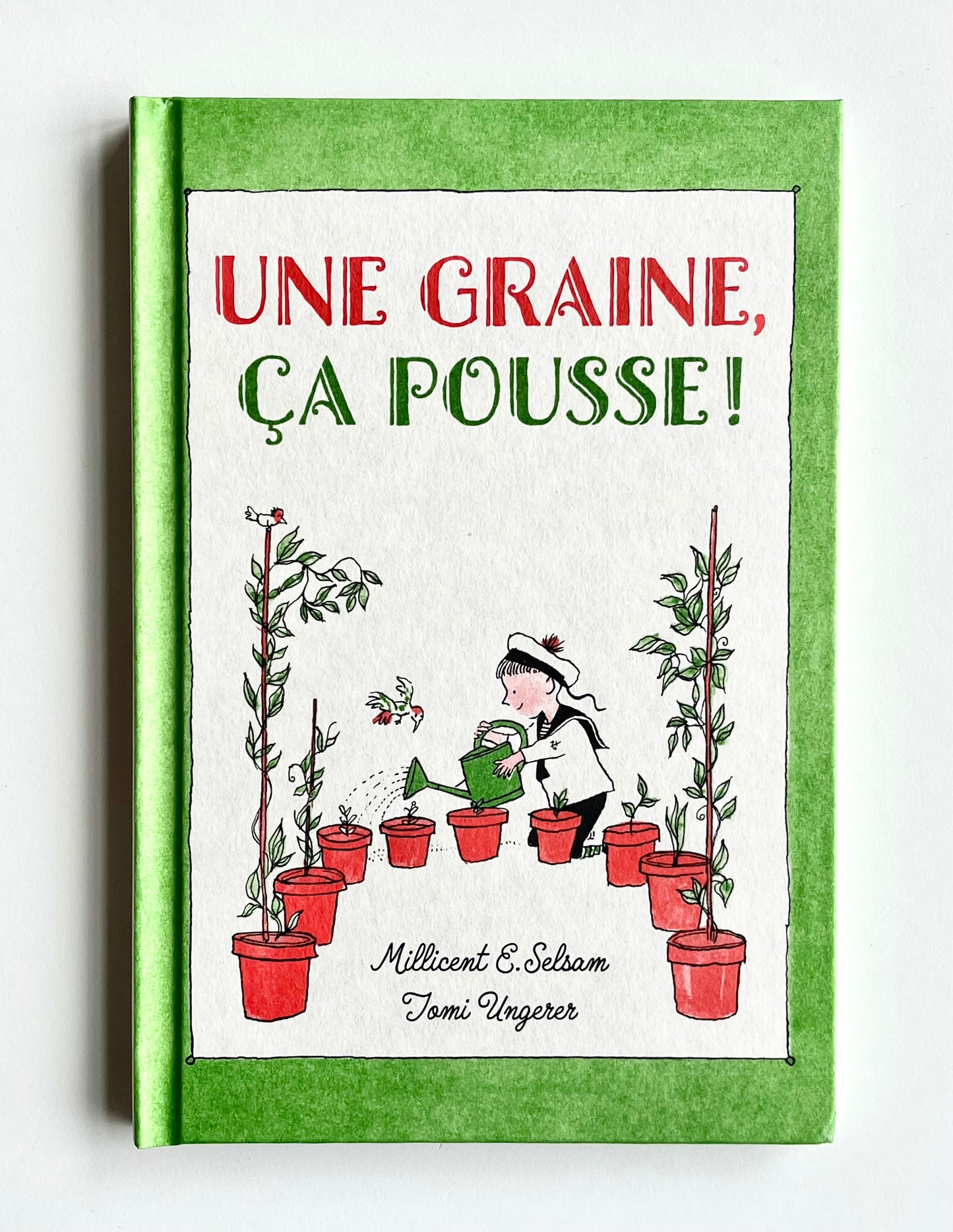 UNE GRAINE, ÇA POUSSE