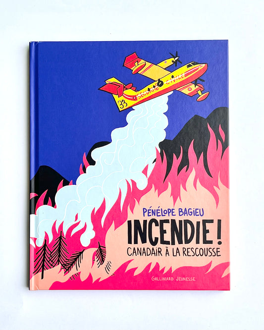 INCENDIE : CANADAIR À LA RESCOUSSE