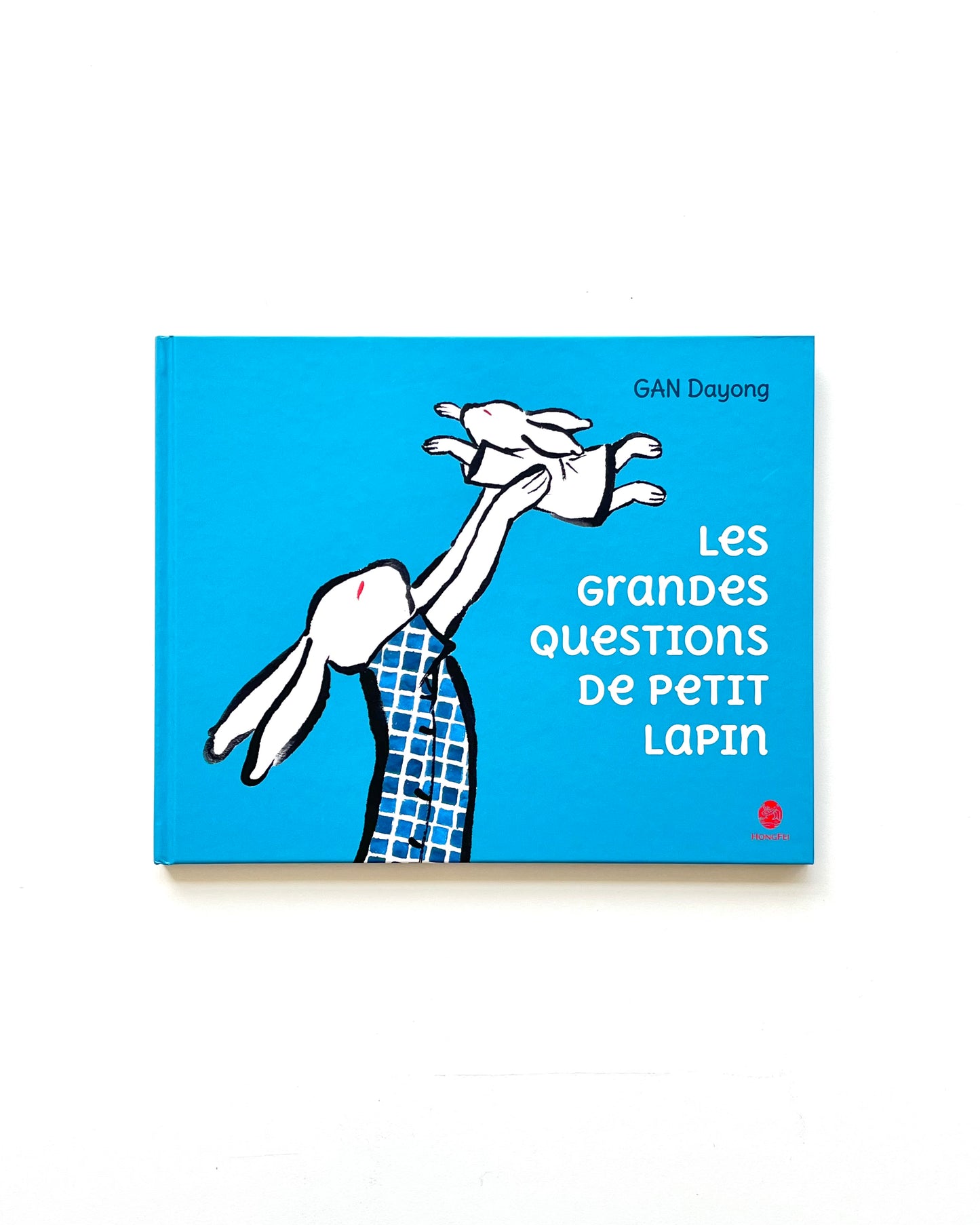 LES GRANDES QUESTIONS DE PETIT LAPIN