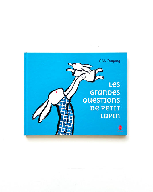 LES GRANDES QUESTIONS DE PETIT LAPIN