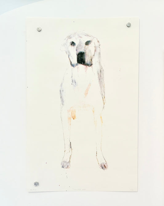 AFFICHE PN RIOU - CHIEN