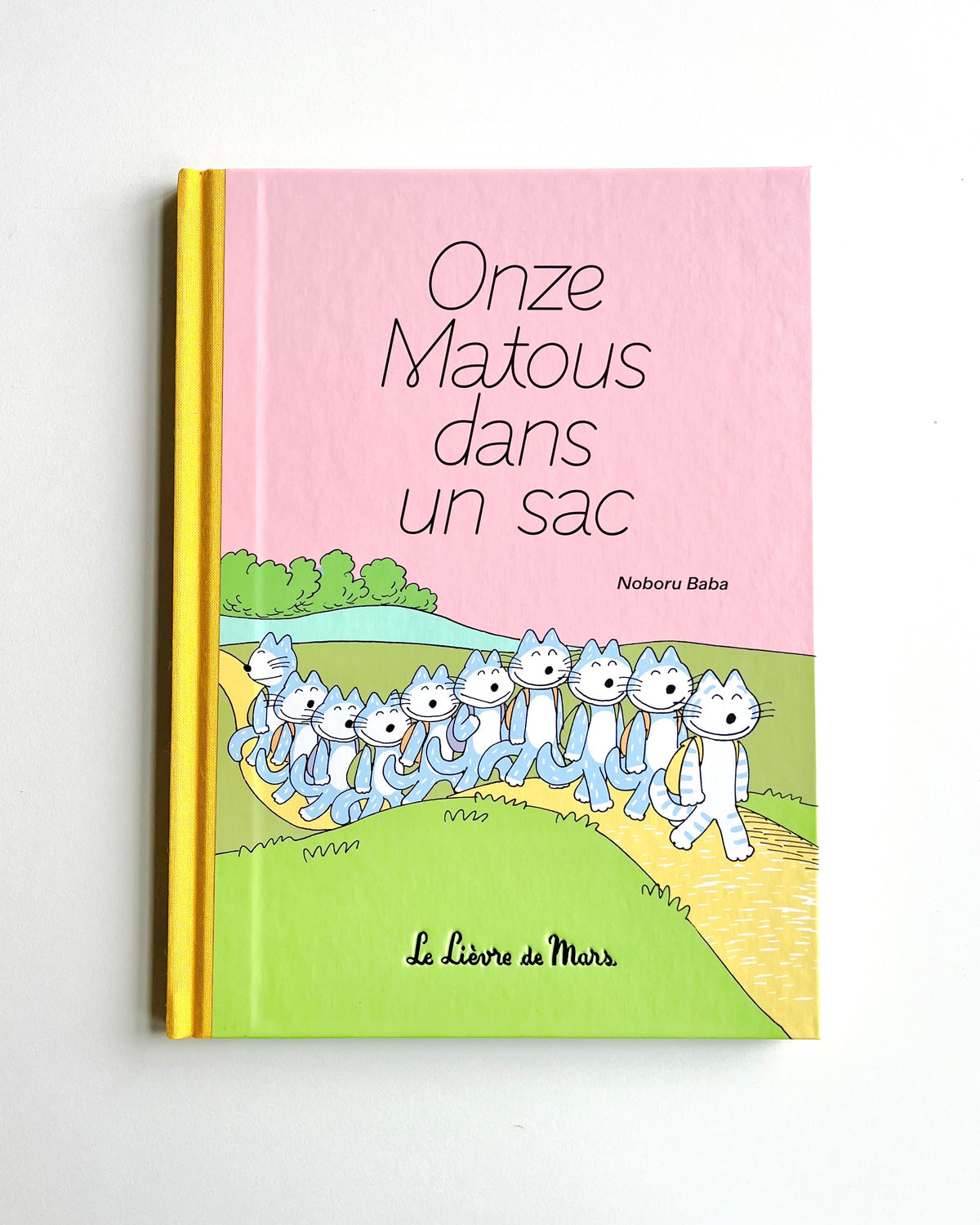 ONZE MATOUS DANS UN SAC
