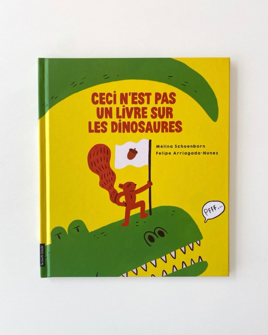 CECI N’EST PAS UN LIVRE SUR LES DINOSAURES