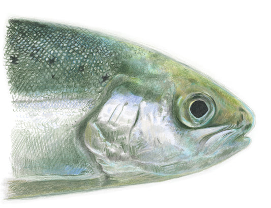 Storytelling and crafts — March 15