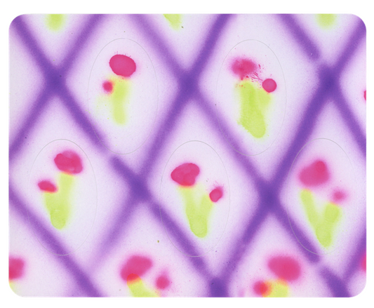 FLOWERS POSTER