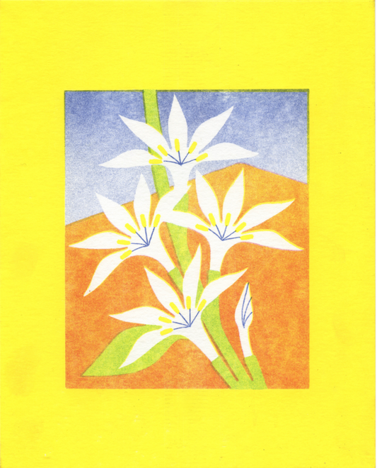 AFFICHE FLEURS DE CAFÉ