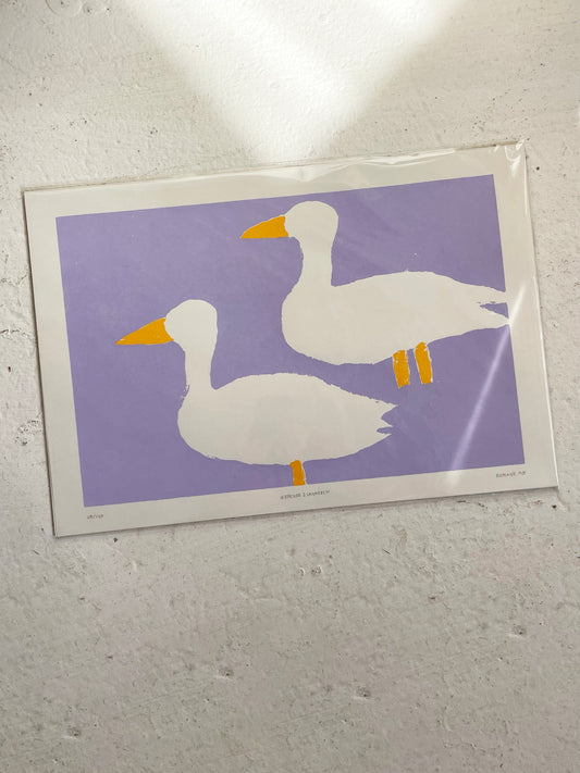 AFFICHE ENCORE 2 CANARDS