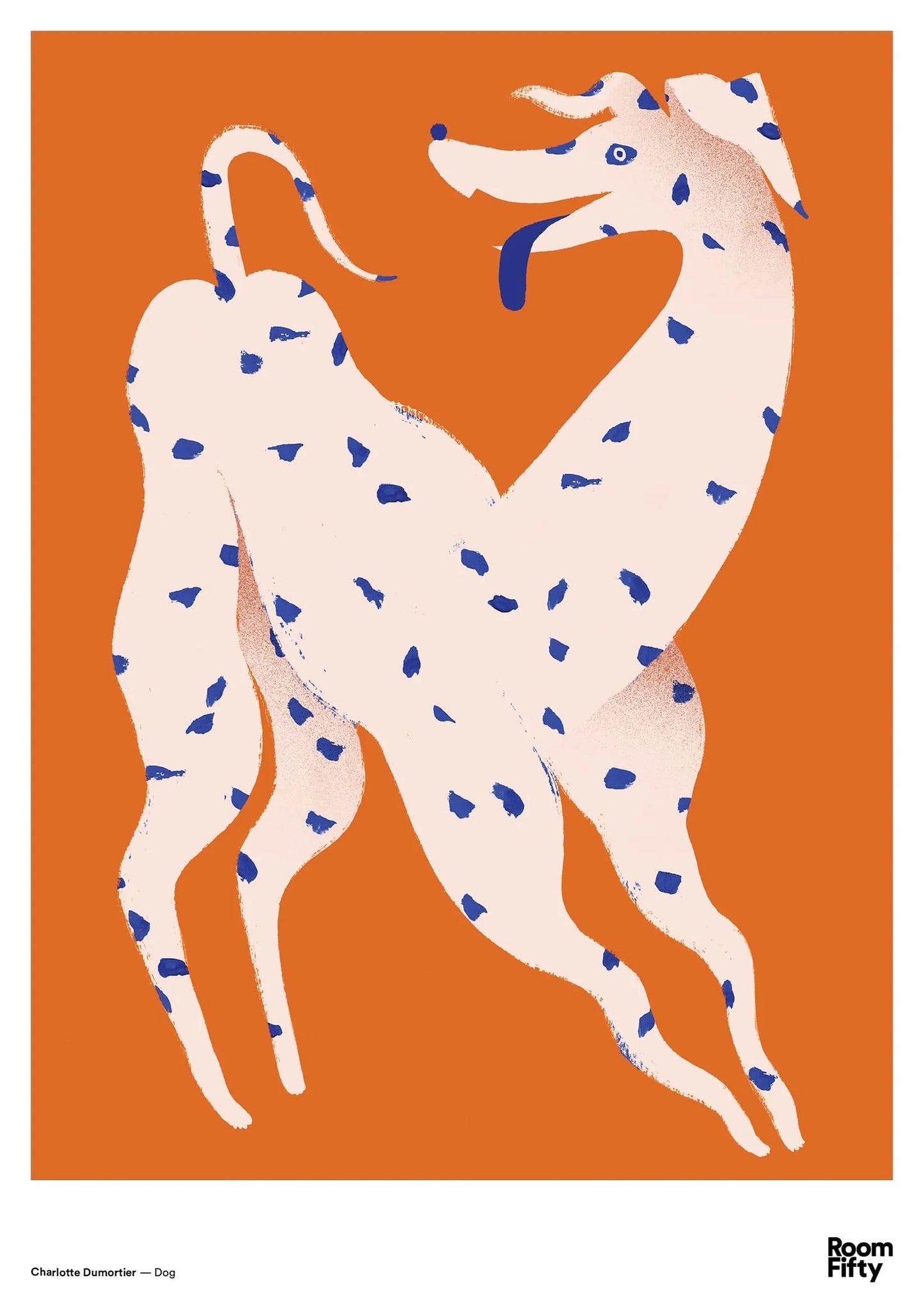 Room Fifty - Charlotte Dumortier - Chien