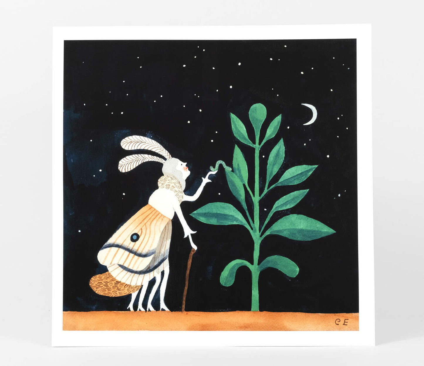 Buy Olympia - Carson Ellis - Bitwurm