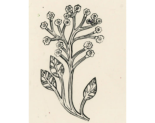 Monika Forsberg - flower