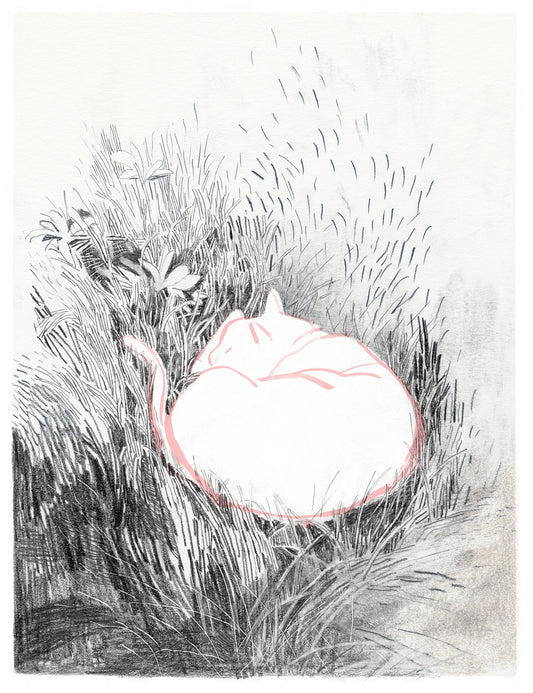 VALENTINA, BY ISABELLE ARSENAULT